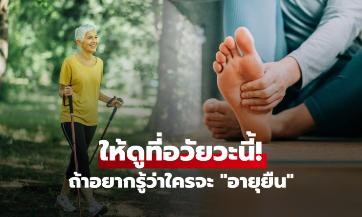 ช็อก! อยากอายุยืน 100 ปี หมอชี้ อวัยวะลับ ที่ทุกคนมองข้าม แต่คือกุญแจทองอยู่ยาวแบบแฮปปี้! - betfahvip