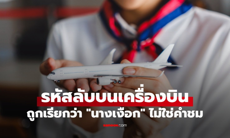 เตือน! ถูกแอร์โฮสเตสเรียก นางเงือก ไม่ใช่คำชม แต่เป็นรหัสลับสำหรับพฤติกรรมน่ารำคาญบนเครื่องบิน - betfahvip