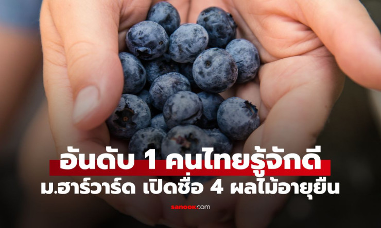 ฮาร์วาร์ดเปิดลับ 4 ผลไม้ อายุยืน ที่คนไทยกินมาตั้งแต่เด็ก แต่ไม่รู้ว่ามันแรงขนาดนี้! - betfahvip