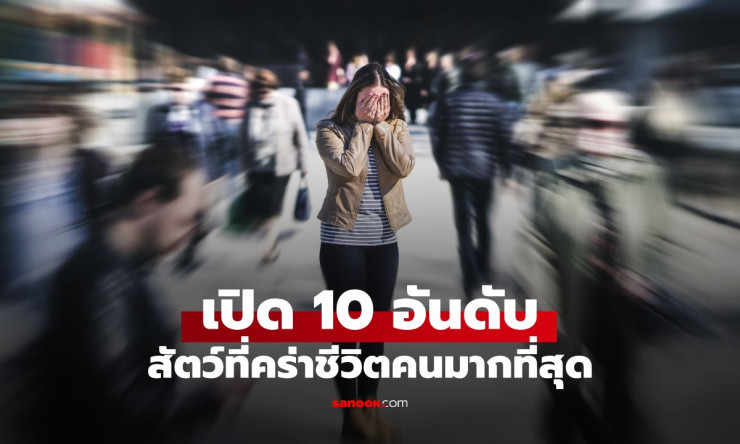 ช็อกทั้งโลก! 10 สัตว์นักฆ่าที่คร่าชีวิตคนมากที่สุด ไม่ใช่เสือหรือจระเข้ แต่ใกล้ตัวคุณสุดๆ - betfahvip