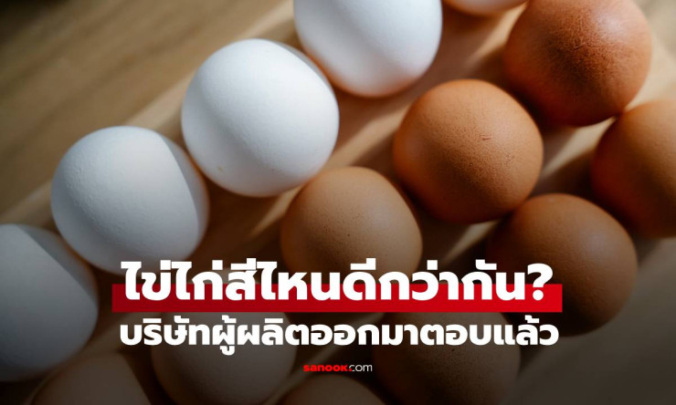 ไข่ไก่เปลือกสีน้ำตาลอร่อยกว่าไข่เปลือกสีขาว จริงหรือไม่? คำตอบจากผู้ผลิตไข่ไก่ - betfahvip