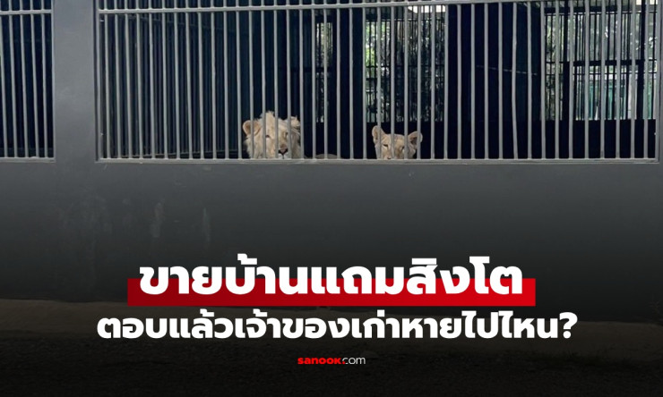 ฮือฮา! ขายบ้านเชียงใหม่แถมสิงโตตัวเป็นๆ ราคาถูกกว่าประเมินครึ่งหนึ่ง - betfahvip