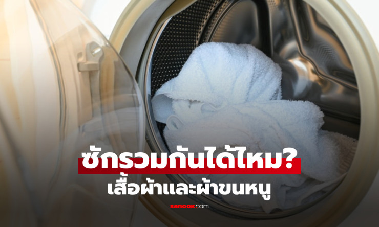 CEO มาเฉลยเอง! ซักผ้ากับผ้าขนหนูรวมกันได้ไหม? ความจริงที่หลายคนเข้าใจผิดมานาน - betfahvip