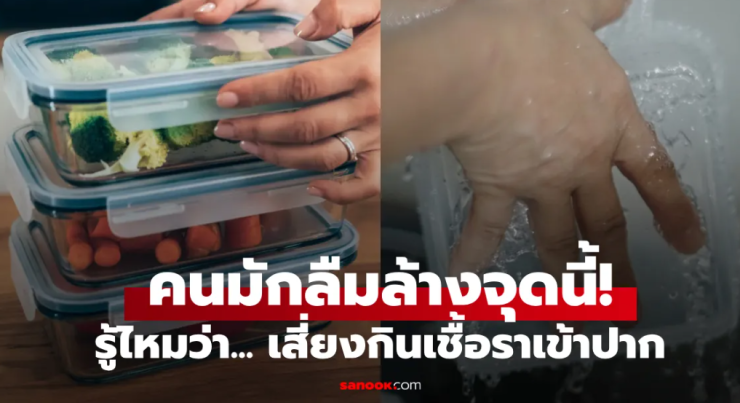 จุดเล็กๆ ในกล่องใส่อาหารที่คนมักลืมล้าง เสี่ยงกินเชื้อราและสารอันตรายสะสม - betfahvip