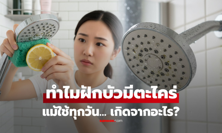 เฉลย! ทำไมฝักบัวอาบน้ำถึงเกิดตะไคร่ได้ง่าย แม้ใช้งานทุกวันน้ำไหลผ่านตลอด - betfahvip