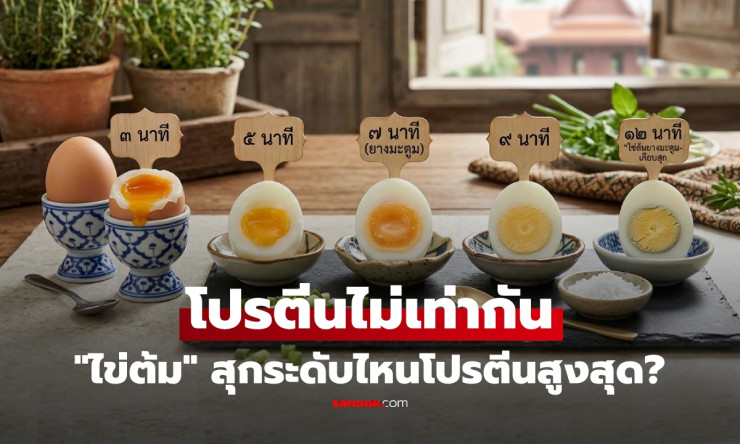 ช็อกเลย! ไข่ดิบ vs ไข่ลวก vs ไข่ต้ม โปรตีนไม่เท่ากันจริงเหรอ? แบบไหนได้ของดีสุด揭秘ด่วน! - betfahvip
