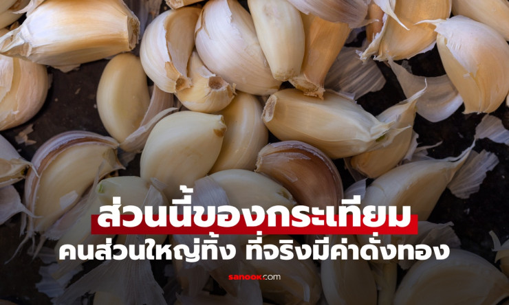 ส่วนนี้ของกระเทียม น่าเสียดายคนส่วนใหญ่ทิ้ง มี 6 สารสำคัญ ดีต่อร่างกายดั่งทองคำ - betfahvip