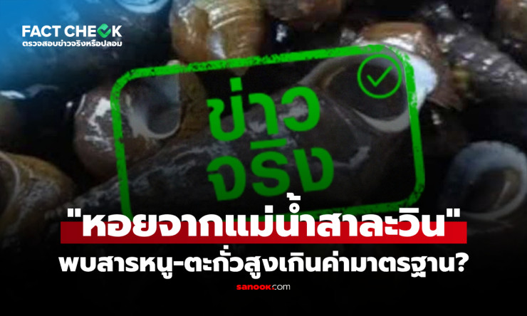 ช็อก! หอยสาละวิน สารหนู-ตะกั่วพุ่งทะลุเกณฑ์ อย่ากินเด็ดขาด ก่อนสายเกินแก้! - betfahvip