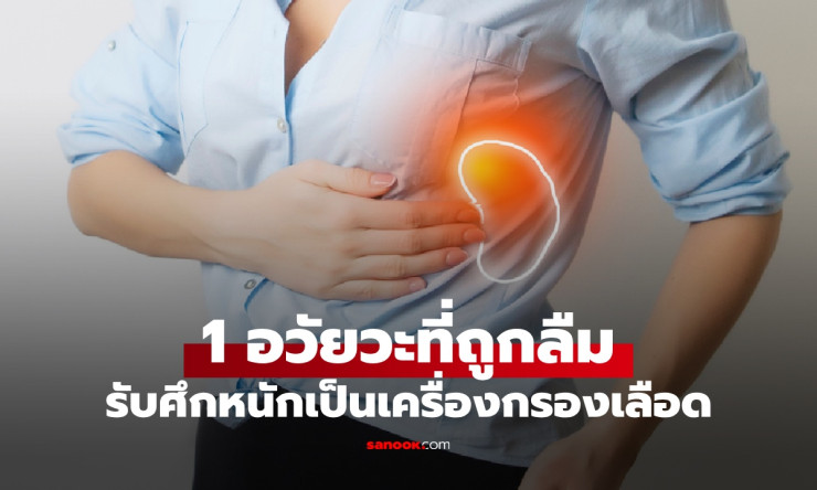 อวัยวะลึกลับใต้ซี่โครง! ตัวกรองเลือดสุดแกร่ง ต่อสู้เชื้อโรคเงียบๆ ไม่เคยบ่น เห็นแล้วต้องร้องว้าว! - betfahvip