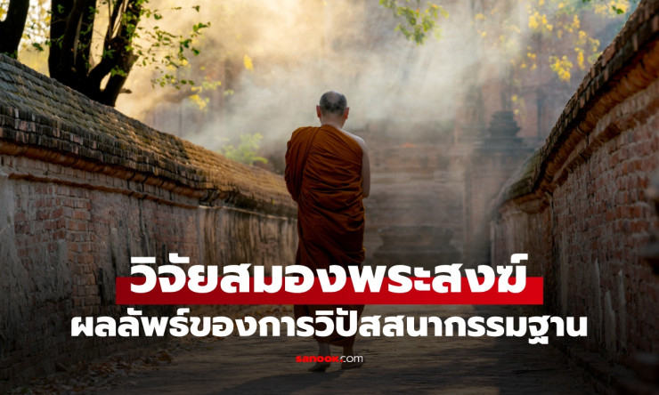 นักวิทย์ค้นพบความลับสมอง! พระสงฆ์ที่ปฏิบัติวิปัสสนากรรมฐานมีสัญญาณสมองซับซ้อนกว่าคนธรรมชาติ - betfahvip