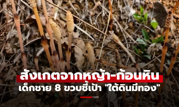 เด็กชาย 8 ขวบ อัจฉริยะเล็ก ชี้เป้าขุมทองบนเขา พ่อใช้ AI ตรวจสอบ ผู้เชี่ยวชาญกระหึ่ม! - betfahvip