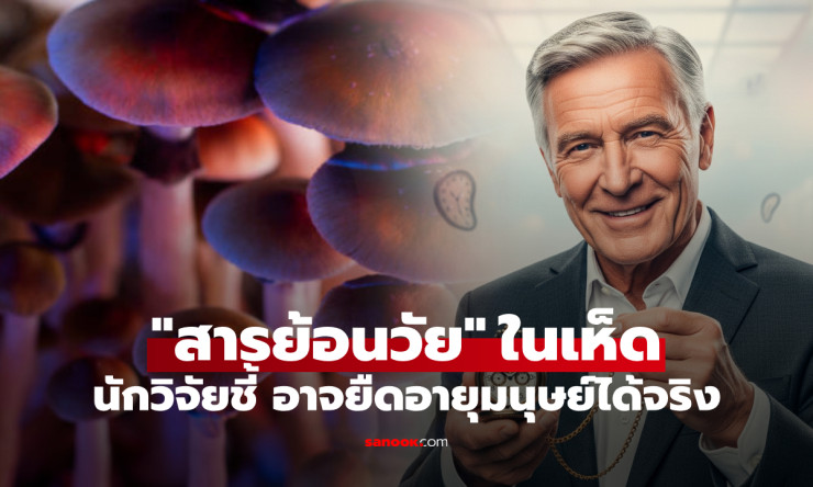 วิจัยชี้เห็ดวิเศษมีสาร ‘ยาอายุวัฒนะ’ ยืดอายุเซลล์มนุษย์ได้ถึง 50% แต่หลายประเทศยังห้ามใช้ - betfahvip