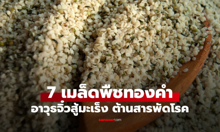 7 เมล็ดพืชล้ำค่า อาวุธจิ๋วสู้สารพัดโรค ต้านมะเร็ง ของกินเล่นประโยชน์มหาศาล - betfahvip