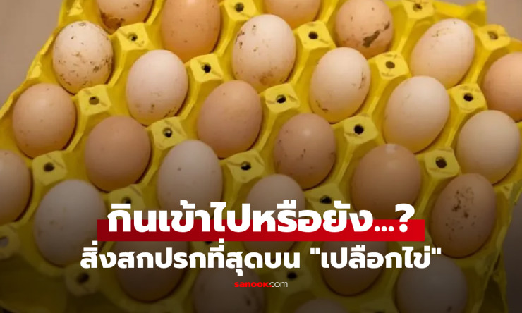 รู้หรือไม่? สิ่งสกปรกบนเปลือกไข่ที่คุณอาจกินเข้าไปทุกวันโดยไม่รู้ตัว! - betfahvip