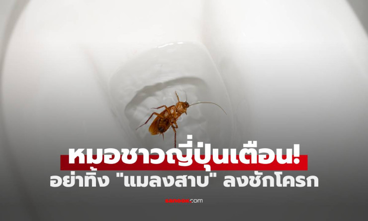 หมอญี่ปุ่นเตือน! ห้ามทิ้งแมลงสาบลงชักโครก เสี่ยงเจอ 2 ผลลัพธ์สุดสยอง - betfahvip