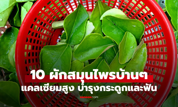 10 ผักสมุนไพรบ้านๆ แคลเซียมสูงไม่แพ้นม เสริมกระดูกและฟันให้แข็งแรง - betfahvip