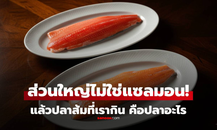 รู้ไหม? ปลาดิบสีส้มในร้านบุฟเฟต์ส่วนใหญ่ไม่ใช่แซลมอน แท้จริงคือปลาเทราต์! - betfahvip