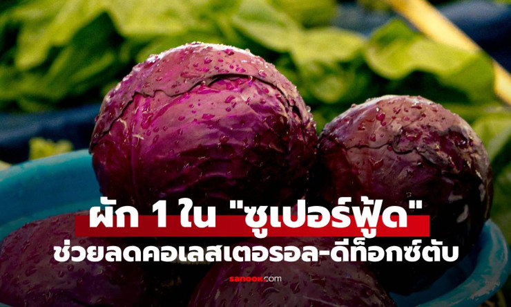 ที่ไทยมี! กะหล่ำปลีม่วง ซูเปอร์ฟู้ดทรงพลัง ลดคอเลสเตอรอล-ดีท็อกซ์ตับ - betfahvip
