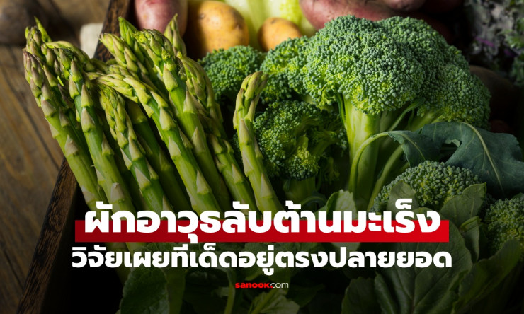 ช็อก! ปลายยอดหน่อไม้ฝรั่ง อาวุธลับถล่มมะเร็งล้ม โรคอ้วนหนีกระเจิง กินแล้วผอม สุขภาพปัง! - betfahvip