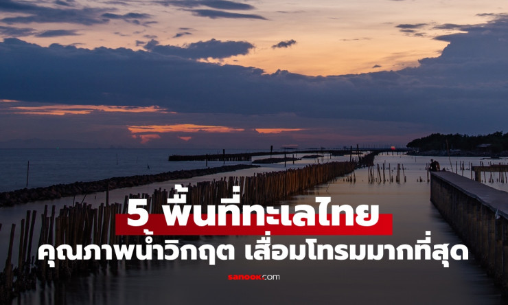 ห้ามลงน้ำ! 5 พื้นที่น้ำทะเลเสื่อมโทรมวิกฤตในไทย ปนเปื้อนหนัก ภัยต่อสุขภาพ - betfahvip